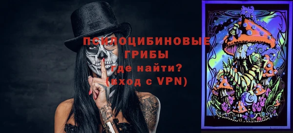дурь Белокуриха
