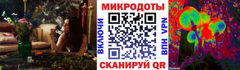 наркошоп  Балаково  Галлюциногенные грибы GOLDEN TEACHER 